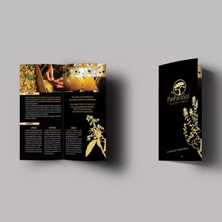 Identité Visuelle Identité Visuelle